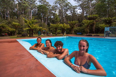 Tahune Airwalk Active Day Trip From Hobart Including Hastings Caves - Pubs Adelaide 5