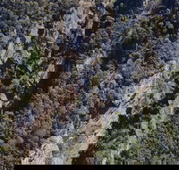 Leven Canyon Day Trip Including Wings Wildlife Park or Gunns Plains Caves - Pubs Adelaide