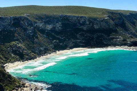 Kangaroo Island Scenic Trail Tour - Pubs Adelaide 4