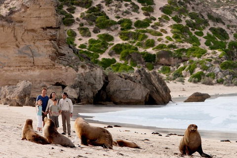 Kangaroo Island Scenic Trail Tour - Pubs Adelaide 5
