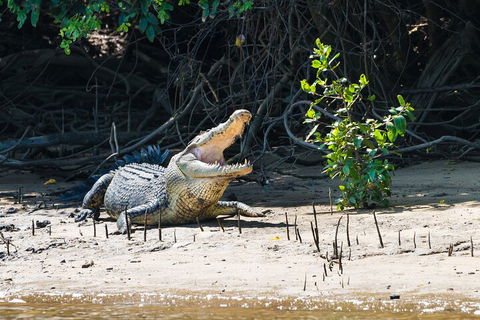 Full Day Cooktown Private Tour - Pubs Adelaide 4