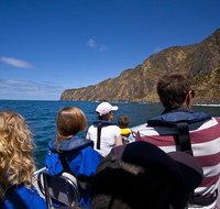 Seal Island Boat Tour from Victor Harbor - Pubs Adelaide
