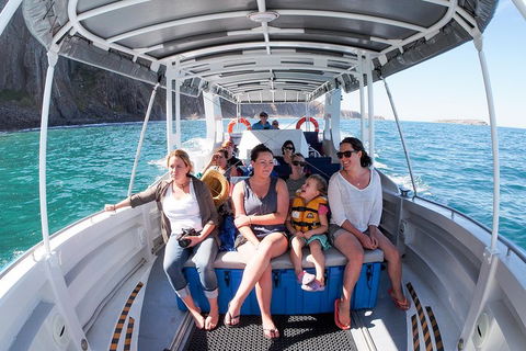 Seal Island Boat Tour From Victor Harbor - Pubs Adelaide 1