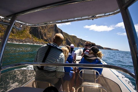 Seal Island Boat Tour From Victor Harbor - Pubs Adelaide 2
