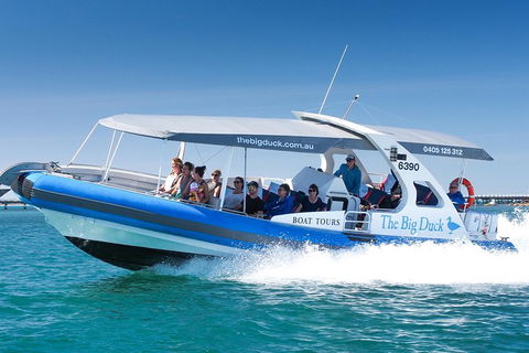 Seal Island Boat Tour From Victor Harbor - Pubs Adelaide 3