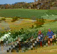 10 Day Perth to Adelaide Private Tour - The Great Australian Wilderness Journey - Pubs Adelaide