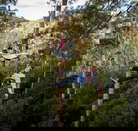 Hollybank Wilderness Adventure - Zipline Tours - Pubs Adelaide