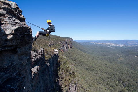 Half-Day Abseiling Adventure In Blue Mountains National Park - Pubs Adelaide 1