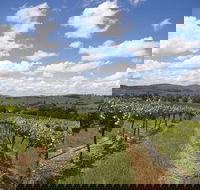 Hunter Valley Wine Tour from Sydney incl Lunch Cheese Chocolate and Distillery - Pubs Adelaide