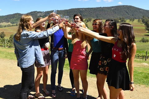 Hunter Valley Wine Tour From Sydney Incl Lunch, Cheese, Chocolate And Distillery - Pubs Adelaide 3