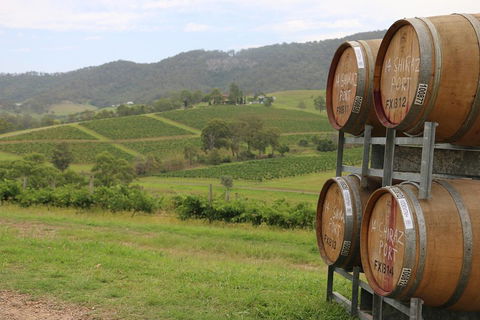 Hunter Valley Wine Tour From Sydney Incl Lunch, Cheese, Chocolate And Distillery - Pubs Adelaide 5