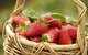 Mornington Peninsula Farm Produce Wine And Cider Tour - thumb 1