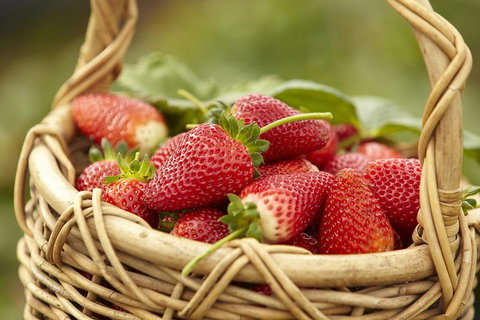 Mornington Peninsula Farm Produce Wine And Cider Tour - Pubs Adelaide 1