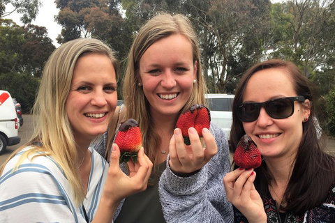 Mornington Peninsula Farm Produce Wine And Cider Tour - Pubs Adelaide 4