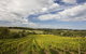 Mornington Peninsula Farm Produce Wine And Cider Tour - thumb 5