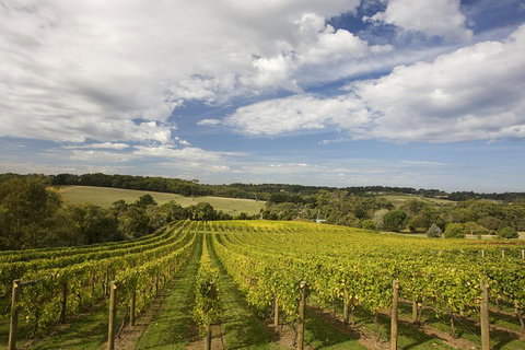 Mornington Peninsula Farm Produce Wine And Cider Tour - Pubs Adelaide 5