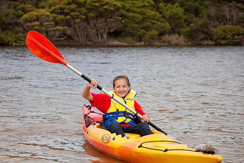 Kangaroo Island Self-Guided Kayaking On The Harriet River - Pubs Adelaide 1
