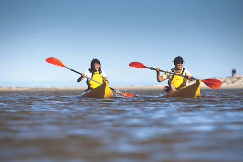 Kangaroo Island Self-Guided Kayaking On The Harriet River - Pubs Adelaide 2