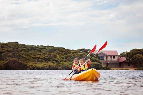 Kangaroo Island Self-Guided Kayaking On The Harriet River - Pubs Adelaide 3
