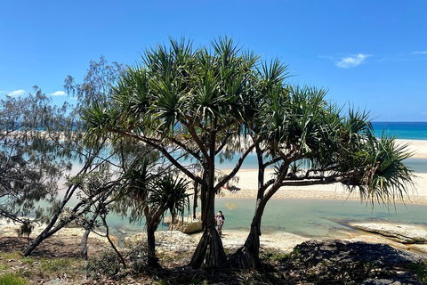 Full-Day Small Group Tour To North Stradbroke Island - Pubs Adelaide 5