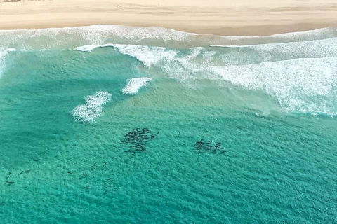 Coastal Helicopter Shared Flight - 20 Minutes - Pubs Adelaide 4