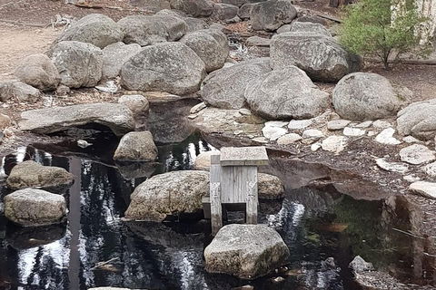 Bendigo, Echuca & The Mighty Murray - Pubs Adelaide 1
