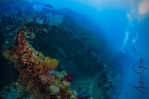 Scuba Dive The S.S. Yongala Wreck On The Great Barrier Reef. - Pubs Adelaide 3